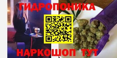 соль ск Новокубанск