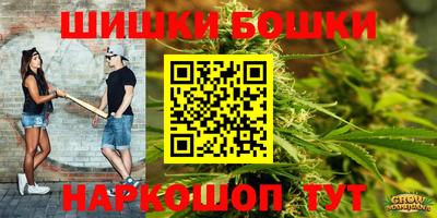 метадон Новодвинск