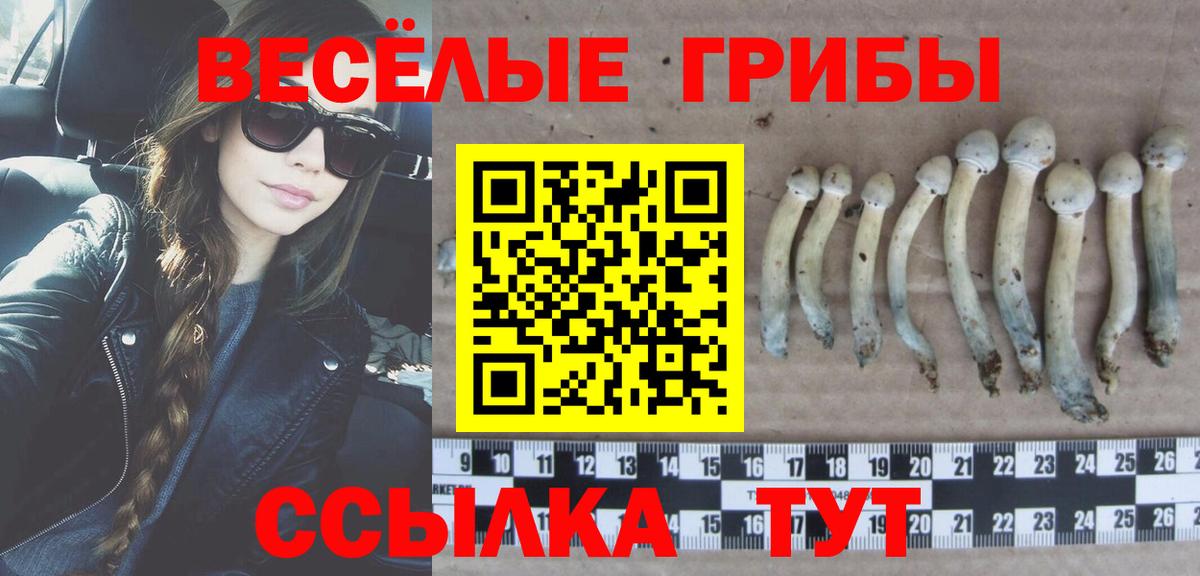Старая Купавна  Псилоцибиновые грибы ЛСД  Вход с VPN  Псилоцибиновые грибы прущие грибы 