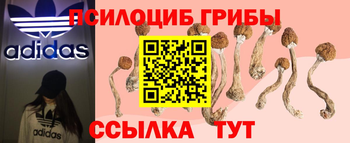 Галлюциногенные грибы мухоморы Старая Купавна